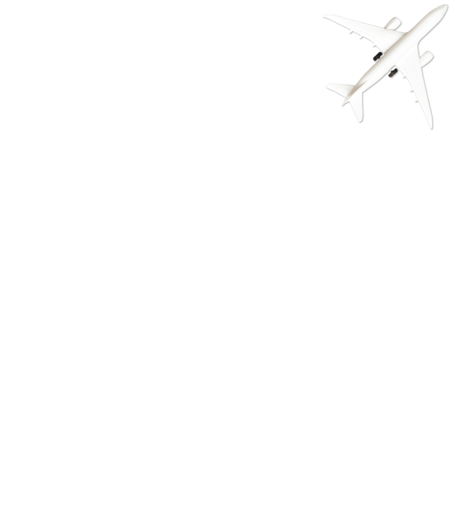 Assure Plane Image